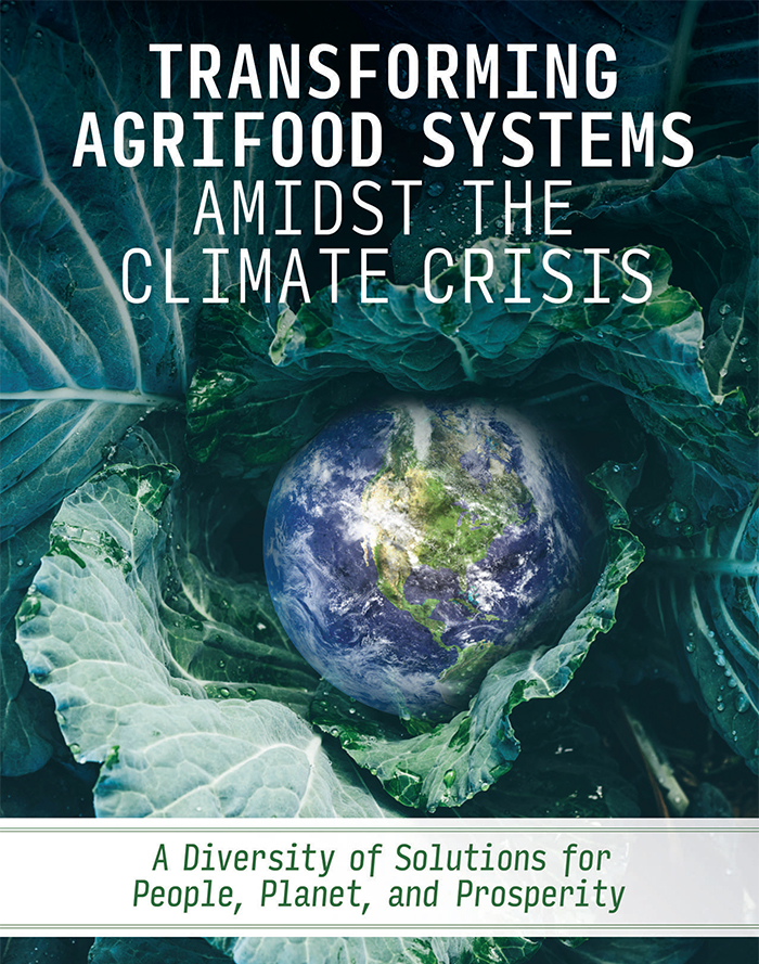 Transforming Agrifood Systems Amidst the Climate Crisis
