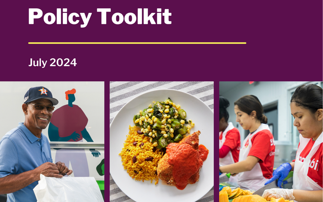 Food is Medicine: A State Medicaid Policy Toolkit